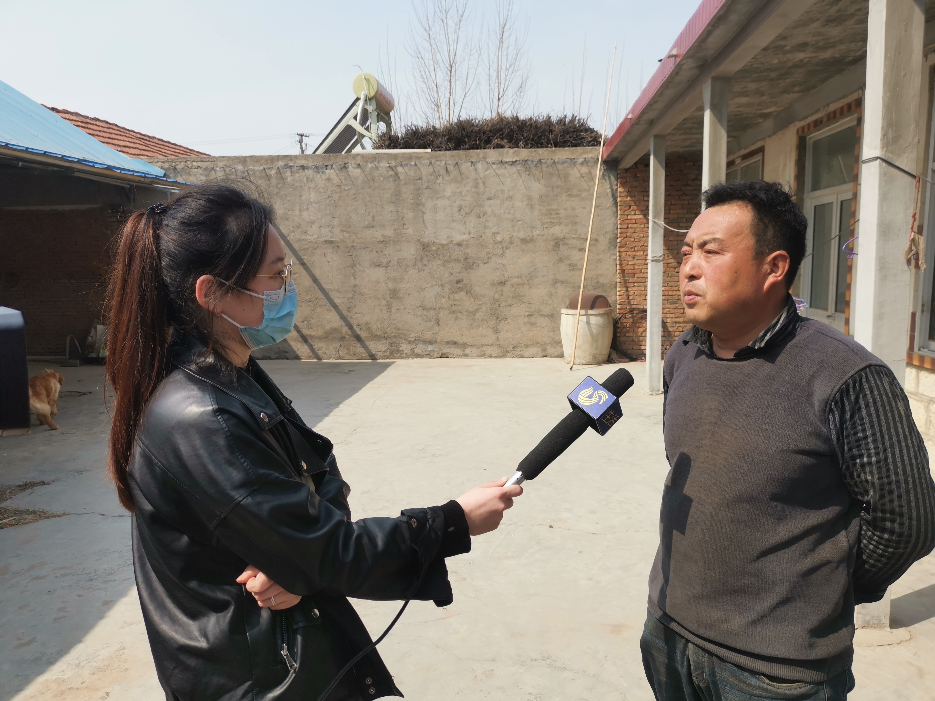 第209所 平度市崔家集镇状元府多宝网页版刘丽新小学 第209所 平度市崔家集镇状元府多宝网页版刘丽新小学