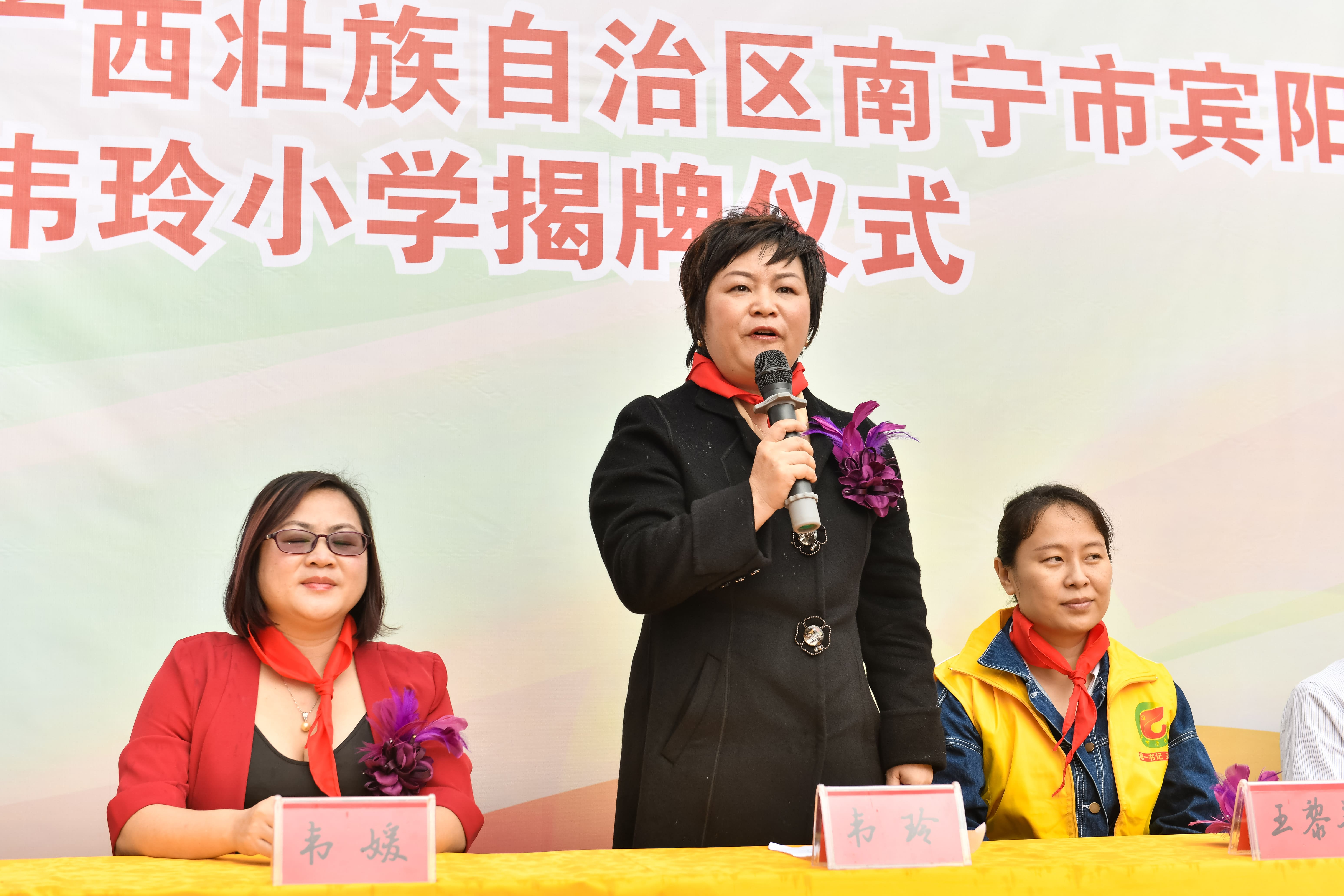第184所 南宁市宾阳县思陇镇昆仑村多宝网页版韦玲小学 第184所 南宁市宾阳县思陇镇昆仑村多宝网页版韦玲小学